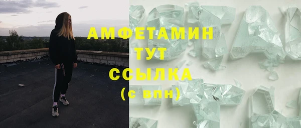 твердый Абаза