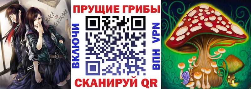 Галлюциногенные грибы Psilocybine cubensis  Анапа 