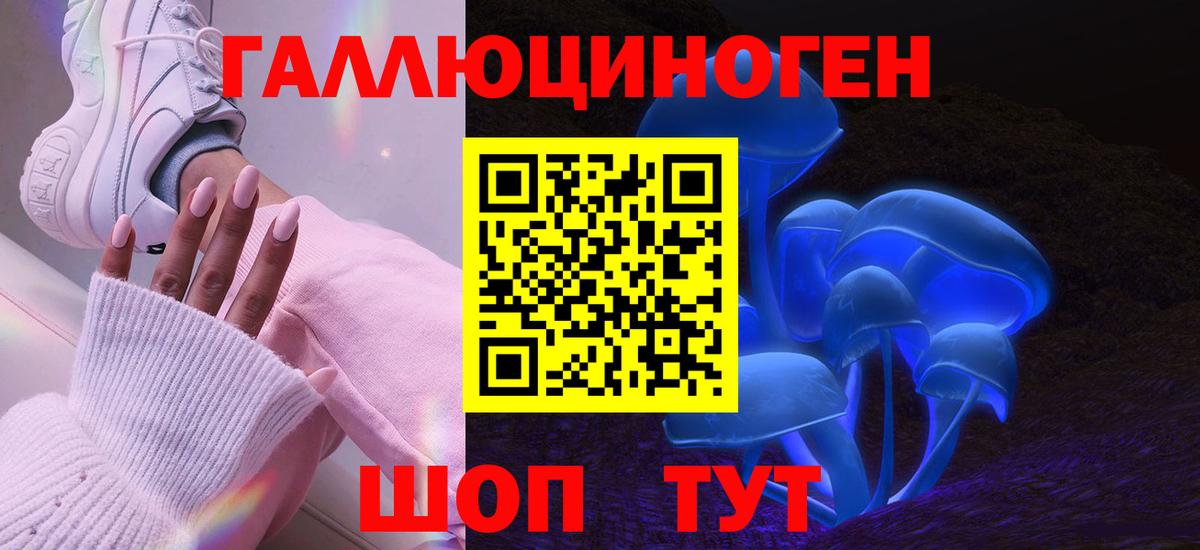 Псилоцибиновые грибы Cubensis  Вход с VPN  Анапа 